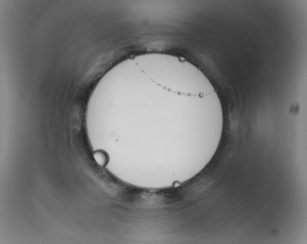 X0000111650311200908071415