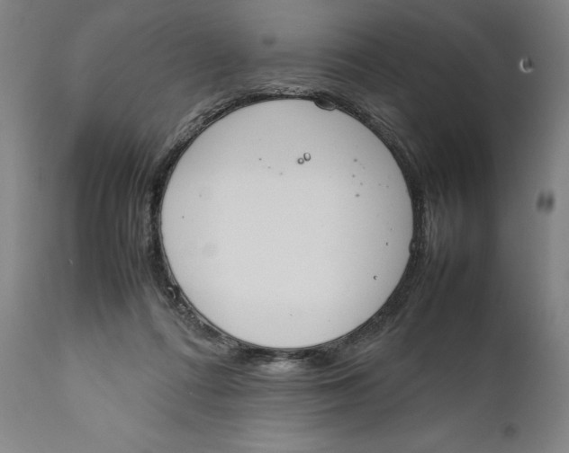 X0000111650312200908071415