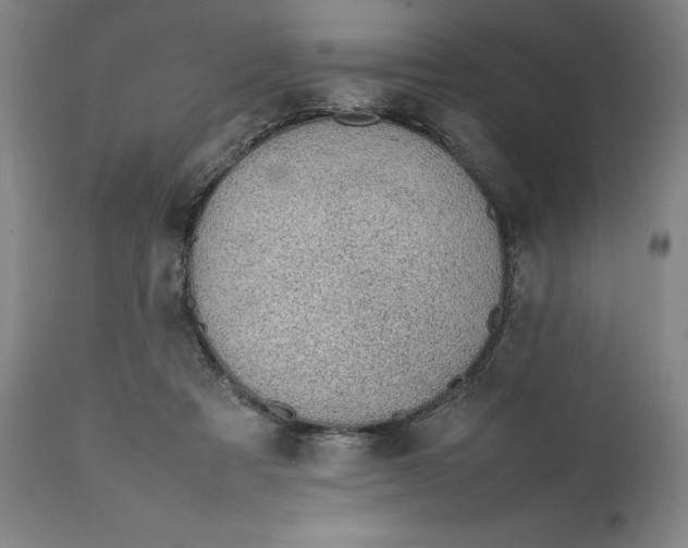 X0000111650313200908071415