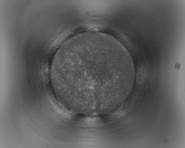 X0000111650314200908071415