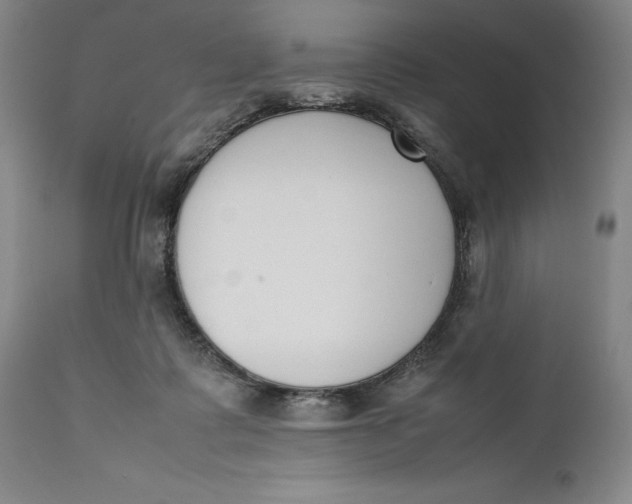 X0000111650315200908071415