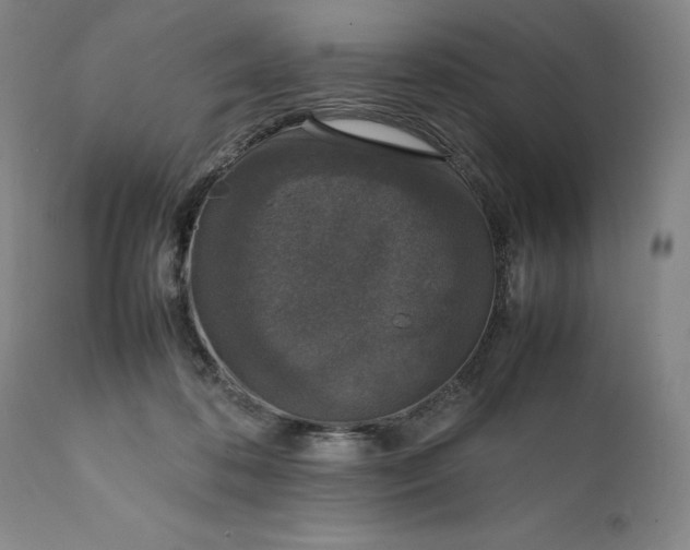 X0000111650316200908071415