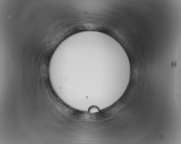 X0000111650317200908071415