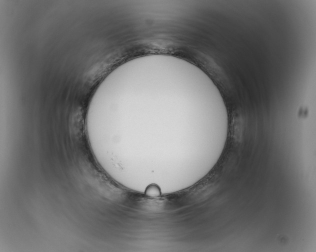 X0000111650318200908071415