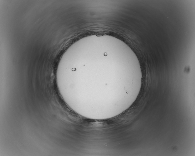 X0000111650320200908071415