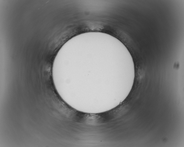 X0000111650321200908071415
