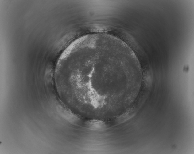 X0000111650322200908071415