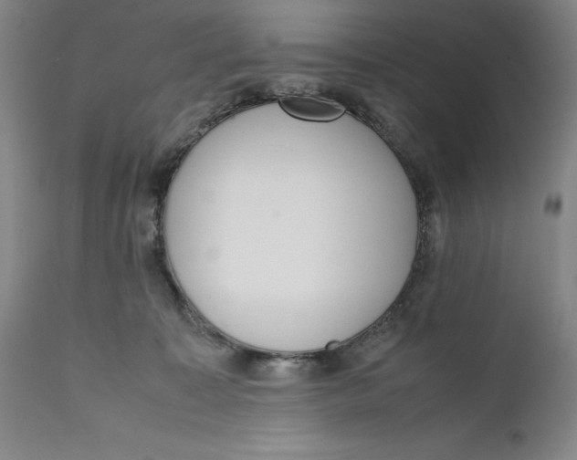 X0000111650323200908071415