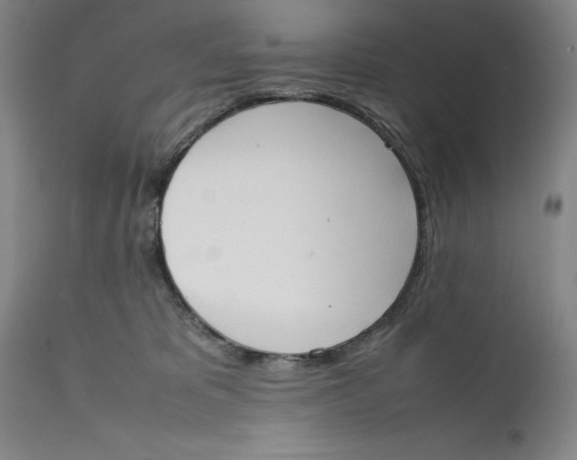 X0000111650325200908071415