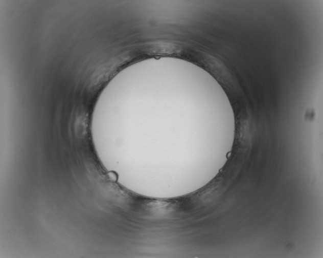 X0000111650326200908071415