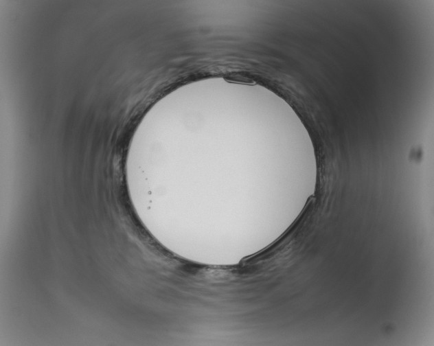 X0000111650327200908071415