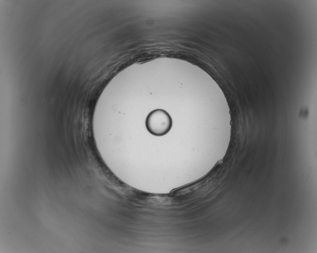 X0000111650328200908071415