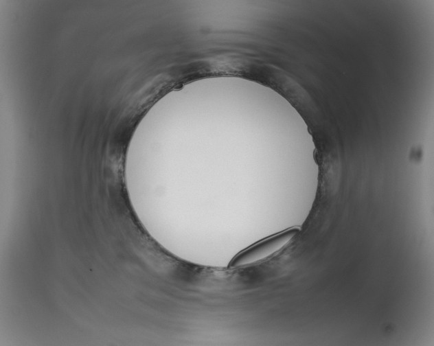 X0000111650329200908071415