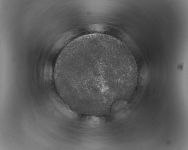 X0000111650330200908071415