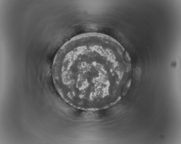 X0000111650331200908071415
