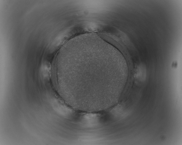 X0000111650332200908071415
