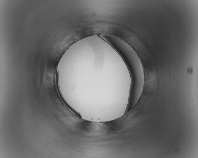 X0000111650333200908071415