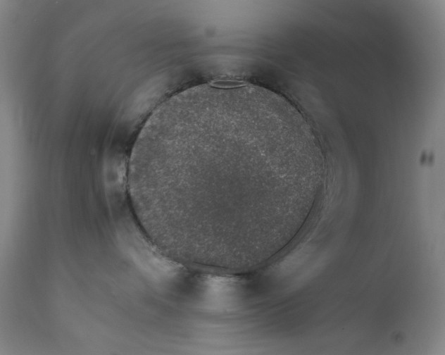 X0000111650336200908071415