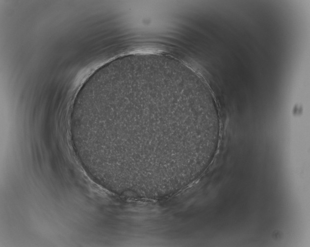 X0000111650337200908071414