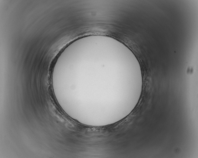 X0000111650338200908071414