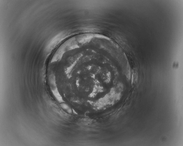 X0000111650339200908071414