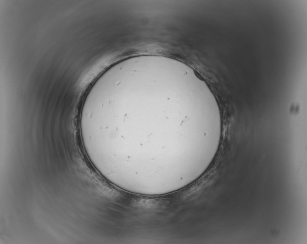 X0000111650341200908071414