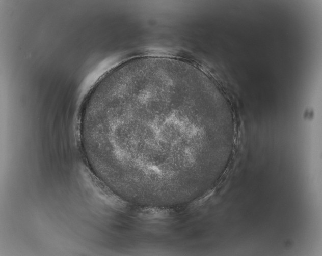 X0000111650343200908071414