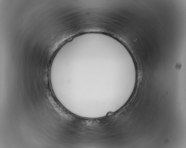 X0000111650345200908071414