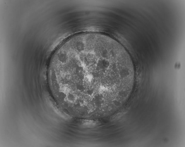 X0000111650347200908071414