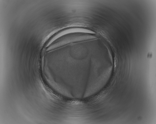 X0000111650348200908071414