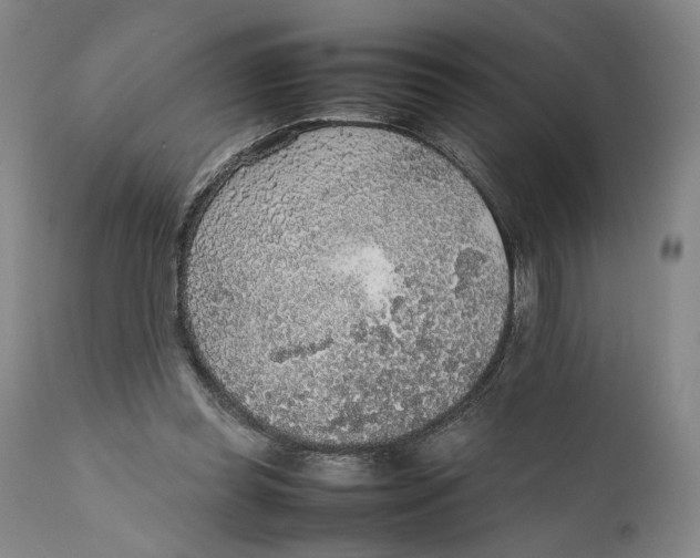 X0000111650349200908071414