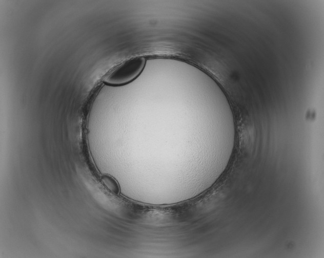 X0000111650350200908071414