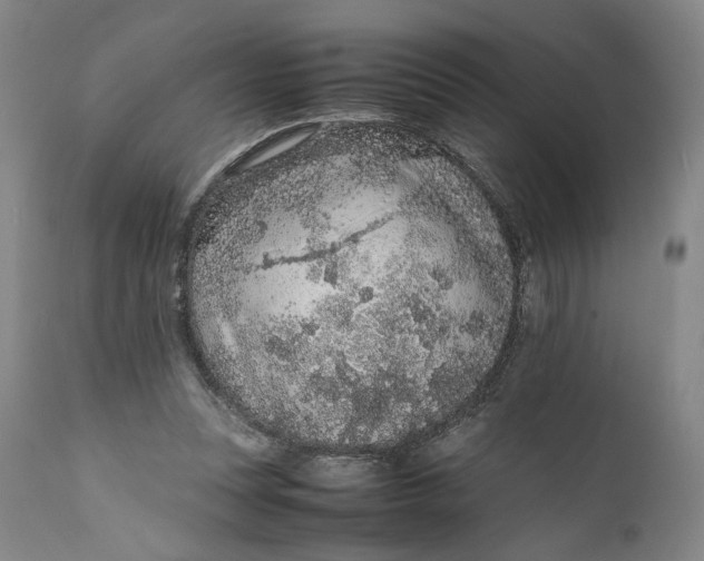 X0000111650351200908071414
