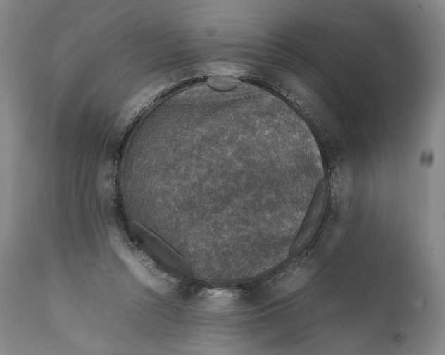 X0000111650352200908071414