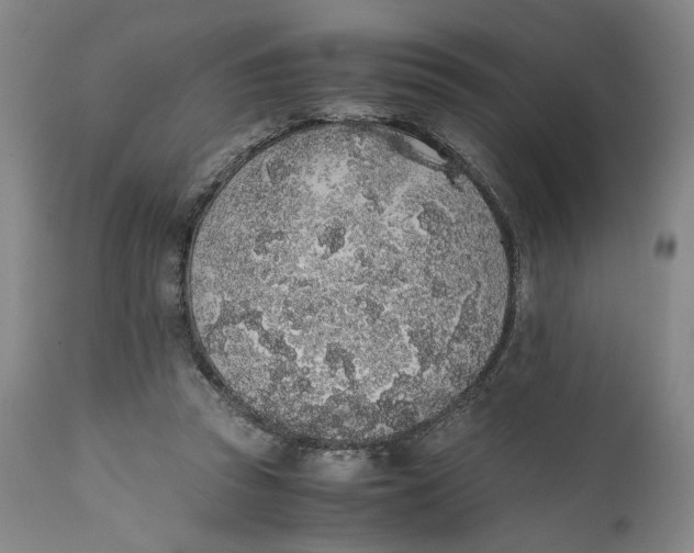 X0000111650353200908071414