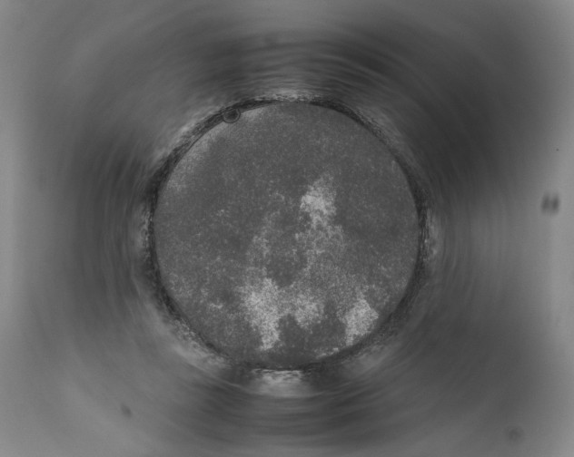 X0000111650355200908071414