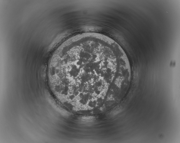 X0000111650357200908071414