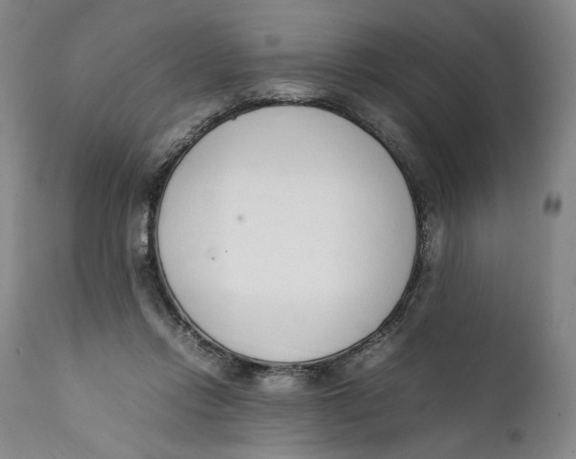 X0000111650358200908071414