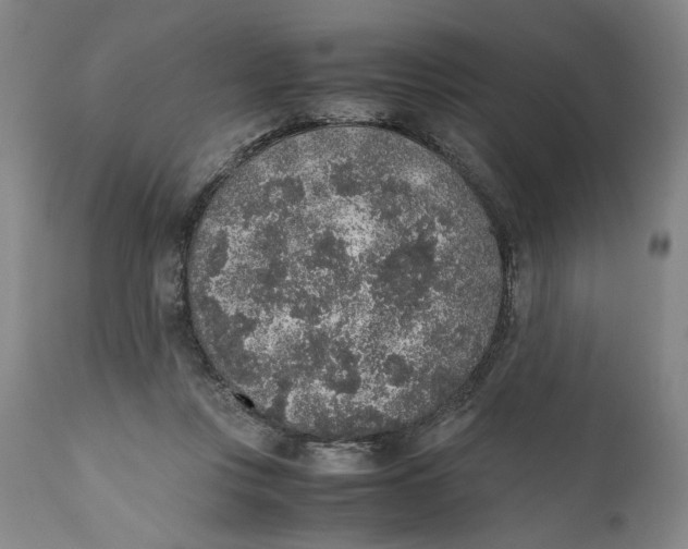 X0000111650359200908071414