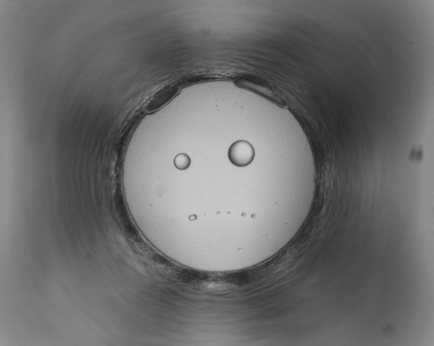 X0000111650360200908071414