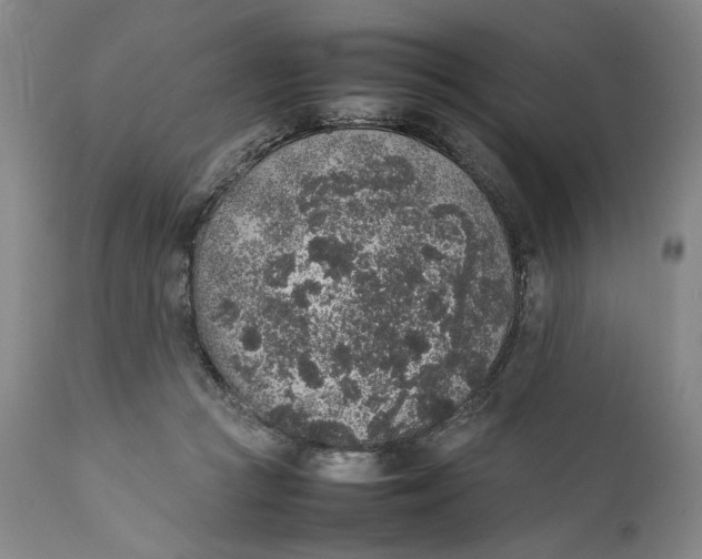 X0000111650361200908071414
