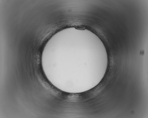X0000111650362200908071414