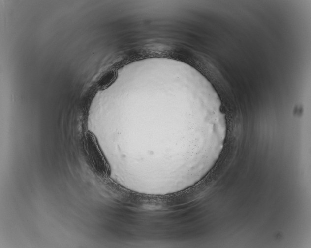 X0000111650363200908071414
