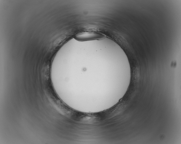 X0000111650364200908071414
