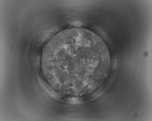 X0000111650365200908071414