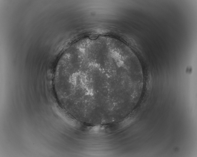 X0000111650366200908071414