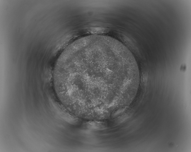 X0000111650367200908071414