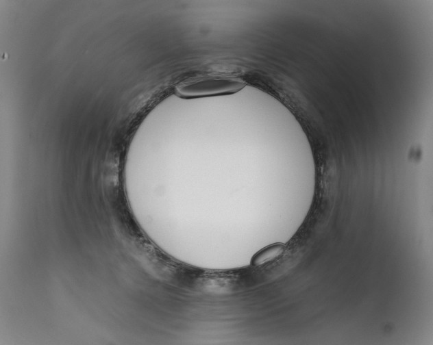 X0000111650368200908071414