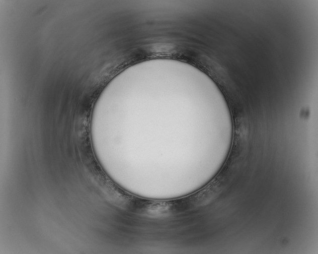 X0000111650369200908071414