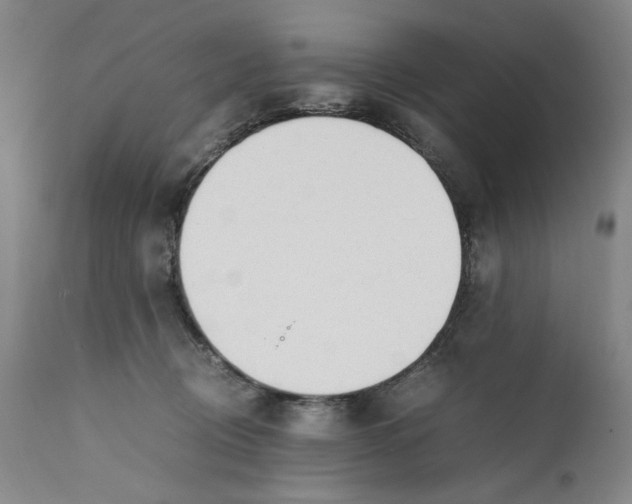 X0000111650370200908071414
